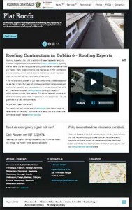 roofing-experts-dublin6